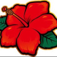 ちゅとめん🪄︎︎✨