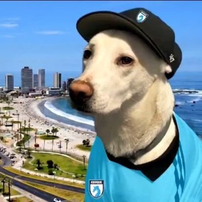 Arturo | Iquique 🐲🇧🇼 (volveremos🤞)