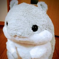 まひろ⭐️（まーもっと⭐️ひろ）