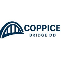 Bridge DD｜PMIを見据えたM&Aデューデリジェンス