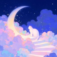 𝚍𝚗𝚒𝚠 🌙✨️