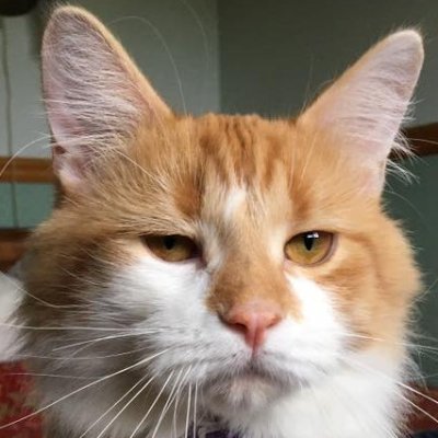 James Seymour 🇺🇸