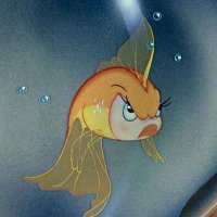 มุ้เอ้ว.•♡°