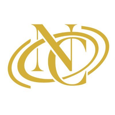 Robyn | AI Network Consultants