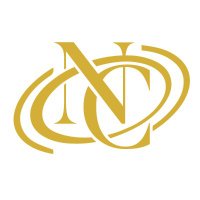 Robyn | AI Network Consultants