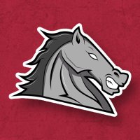 Rider Esports 🔜 ROYAL STAMPEDE 2026