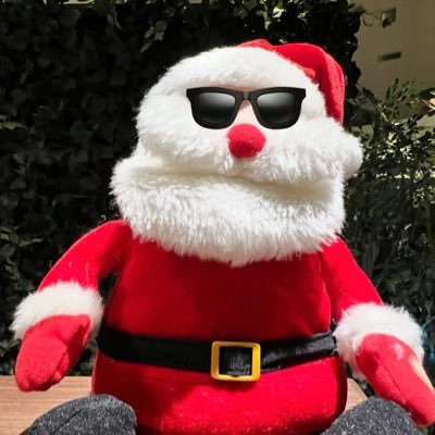 🌹nyarijun🤖🍕🌏🏯❄️