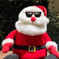 🌹nyarijun🤖🍕🌏🏯❄️