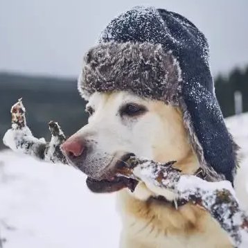 Lɪғᴇ Aғᴛᴇʀ Wʜɪᴛᴇ Pᴇᴏᴘʟᴇ