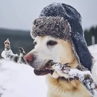 Lɪғᴇ Aғᴛᴇʀ Wʜɪᴛᴇ Pᴇᴏᴘʟᴇ