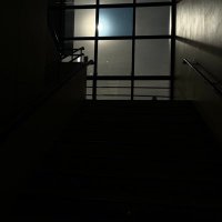 พาราไม่ใช่ยาแก้แพ้ ⌒♡*:･ft. full tank SWAG🐱