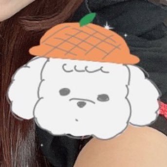 kazukuu66🍀🐈@オタク卒業しました。（仮）