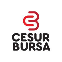 cesurbursa.com