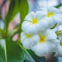 a كؤد خصم ايهرب ايهيرب h