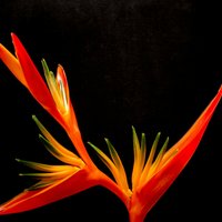 a كؤد خصم ايهرب ايهيرب h