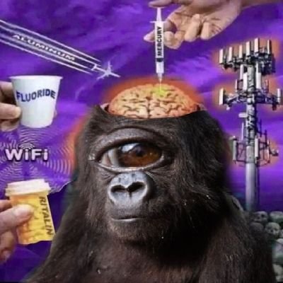 Tão Diolho em noís da silva ツ