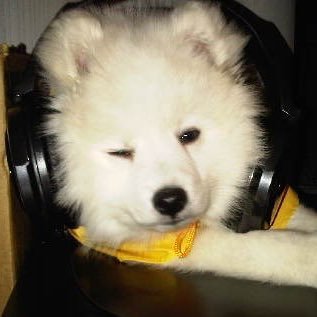 ซอ⋆.˚ ☾⭒.˚