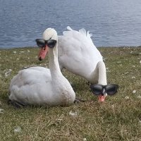 ユキん子マル子