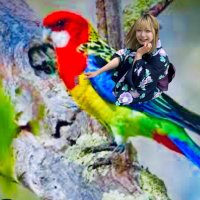 💫MASAYA💫暫し鳥活🦜雛が産まれてる為ヲタ辞めるとは言うてませんので😇