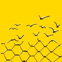 Suicidio, el organismo nocivo