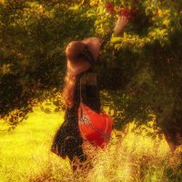 Lepidoptera 🦋👩🏻‍🦰🦋