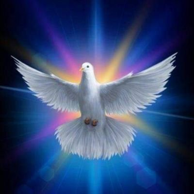 Nancy 🇨🇱de❤️