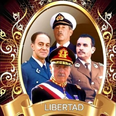 Kal-El POM Bot T-1973 V11S