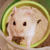 ⭐ 極度の千里眼 ⭐