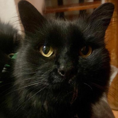 でいもす あやなみ