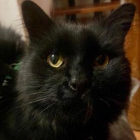 でいもす あやなみ