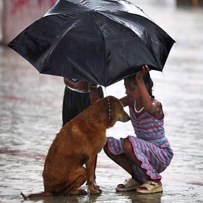 Restoring Your Faith in Humanity