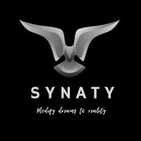 Synaty Automotive Pvt. Ltd.