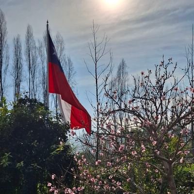 José Luis E. 🇨🇱