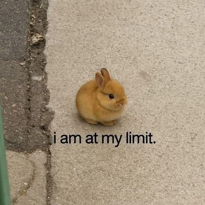 Information technology