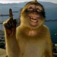 fitgirl repack enjoyer