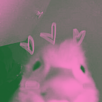 keep boycotting 📈