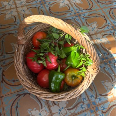 Zohra Rose Bitan 🌹🎗️SoutienFD0🦩