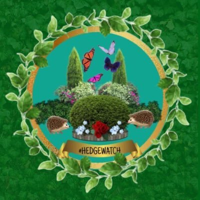 Hedgewatch