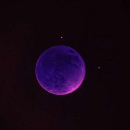 Hanna Luna Diederich