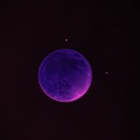 Hanna Luna Diederich