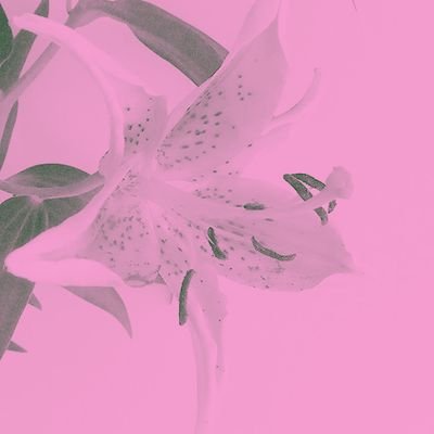 kid KIMBEL BENERAN UPDATE