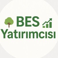 BES Yatırımcısı