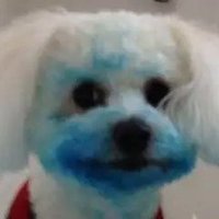 Komrad: ICE out! (Nobel Peace Prize Nominee)