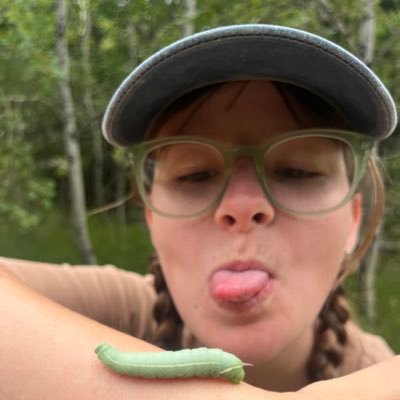 fat bear week enjoyer 🍇🌞