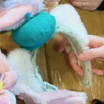 🩵🐱あると🎡🐈‍⬛