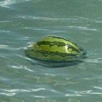 空くる(寝てる)