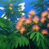 CrimsonQuillfeatehr01