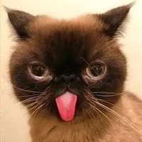 NPW_BB 🐍💐☔🌷∋∈