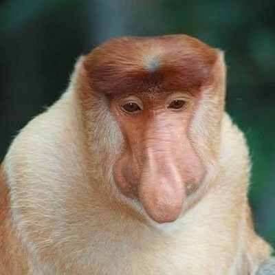 e-Janusz Ch. 🛷💉🪺