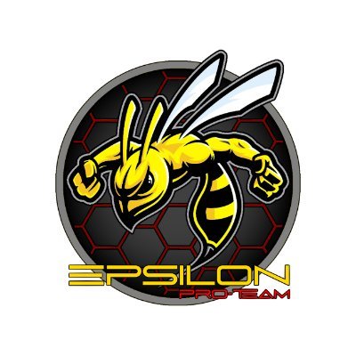 EPSILON Pro-Team